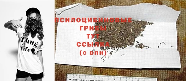 гидра Алексеевка