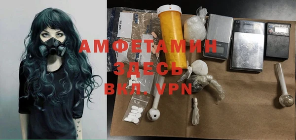 гидра Алексеевка