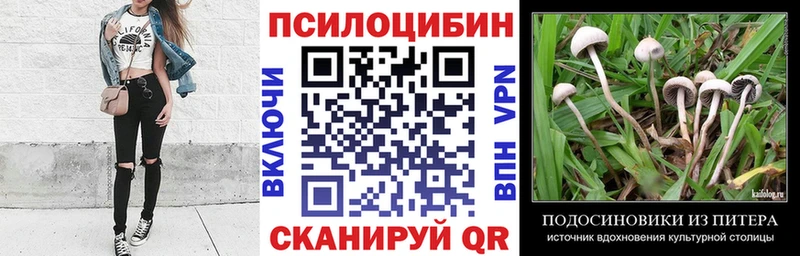 Галлюциногенные грибы Psilocybine cubensis наркота Медынь